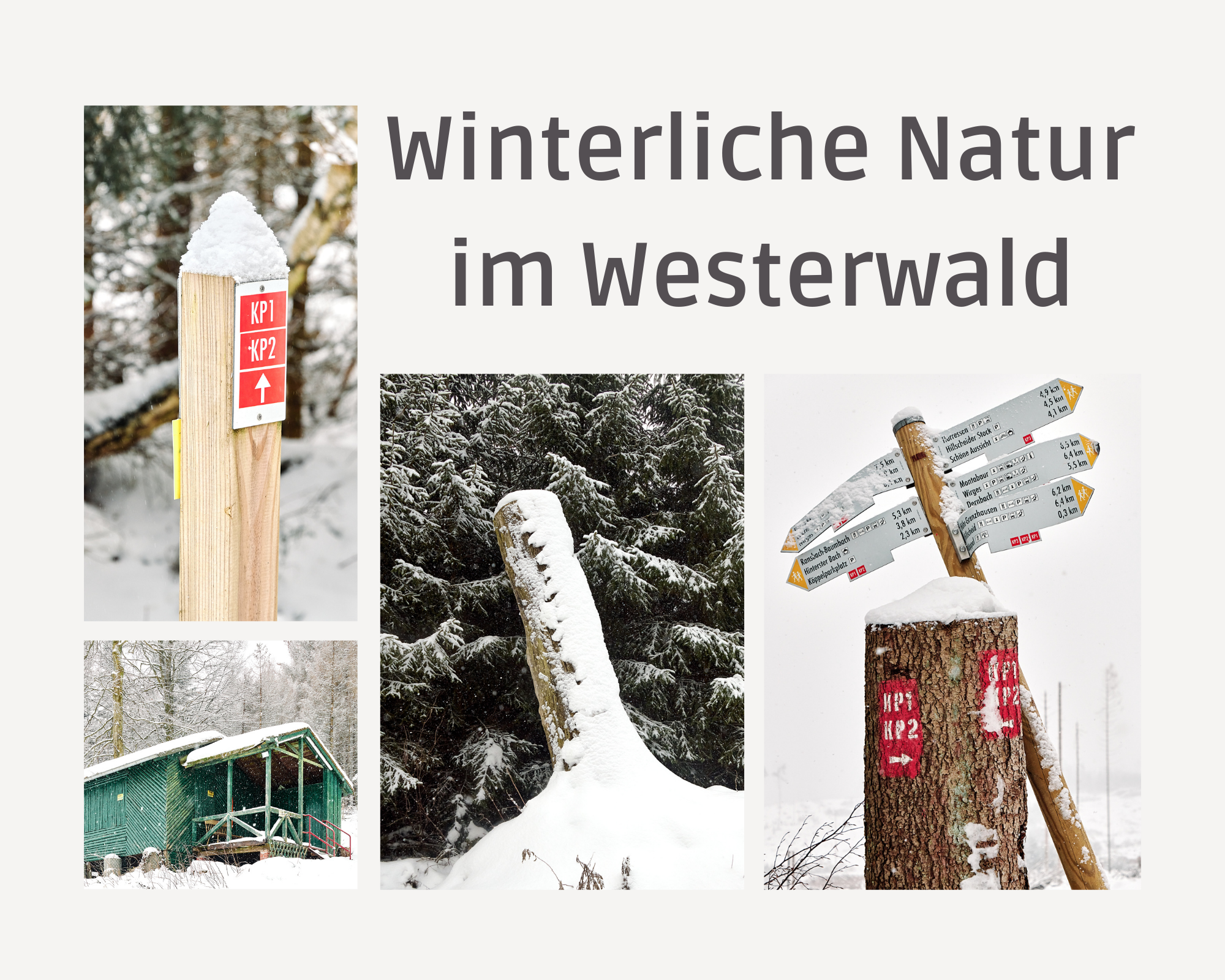 Winterliche Natur im Westerwald (Köppel)